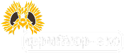 Логотип